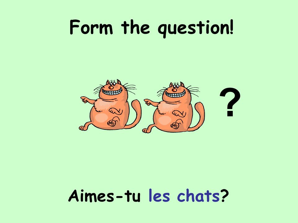Form the question! Aimes-tu les chats