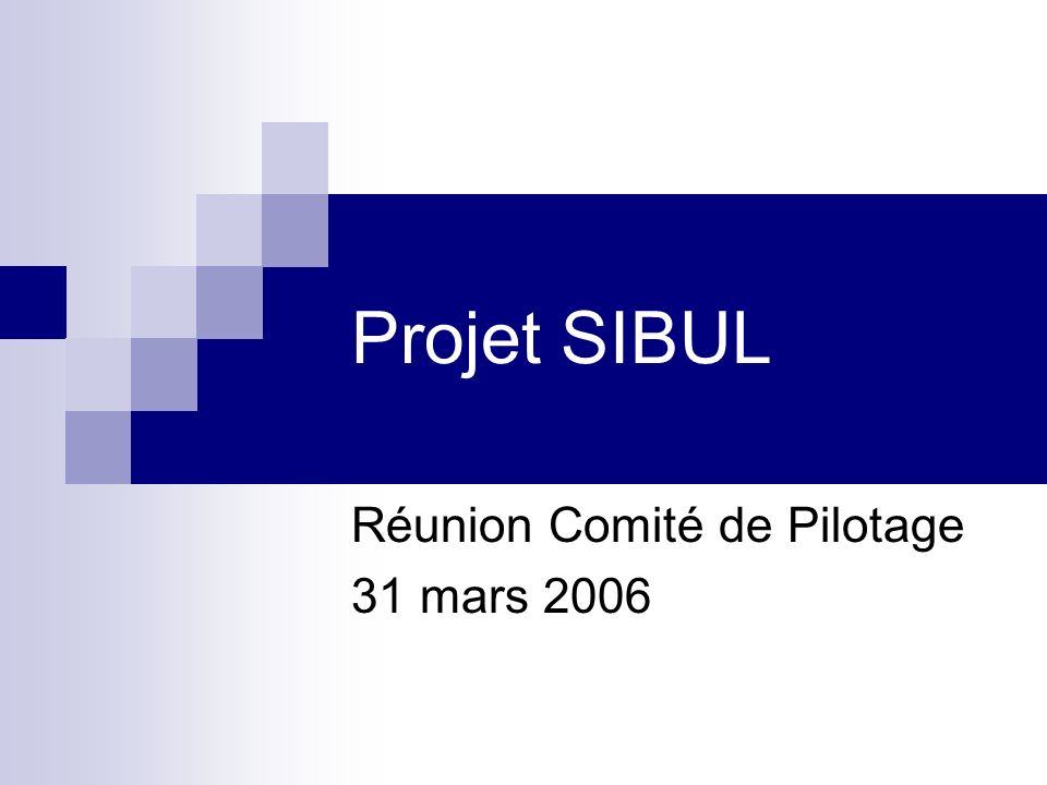 Projet SIBUL Réunion Comité de Pilotage 31 mars 2006