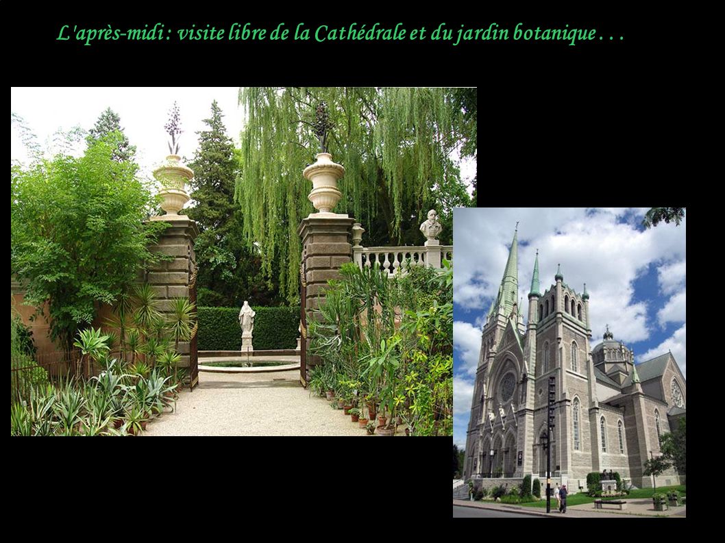L après-midi : visite libre de la Cathédrale et du jardin botanique...
