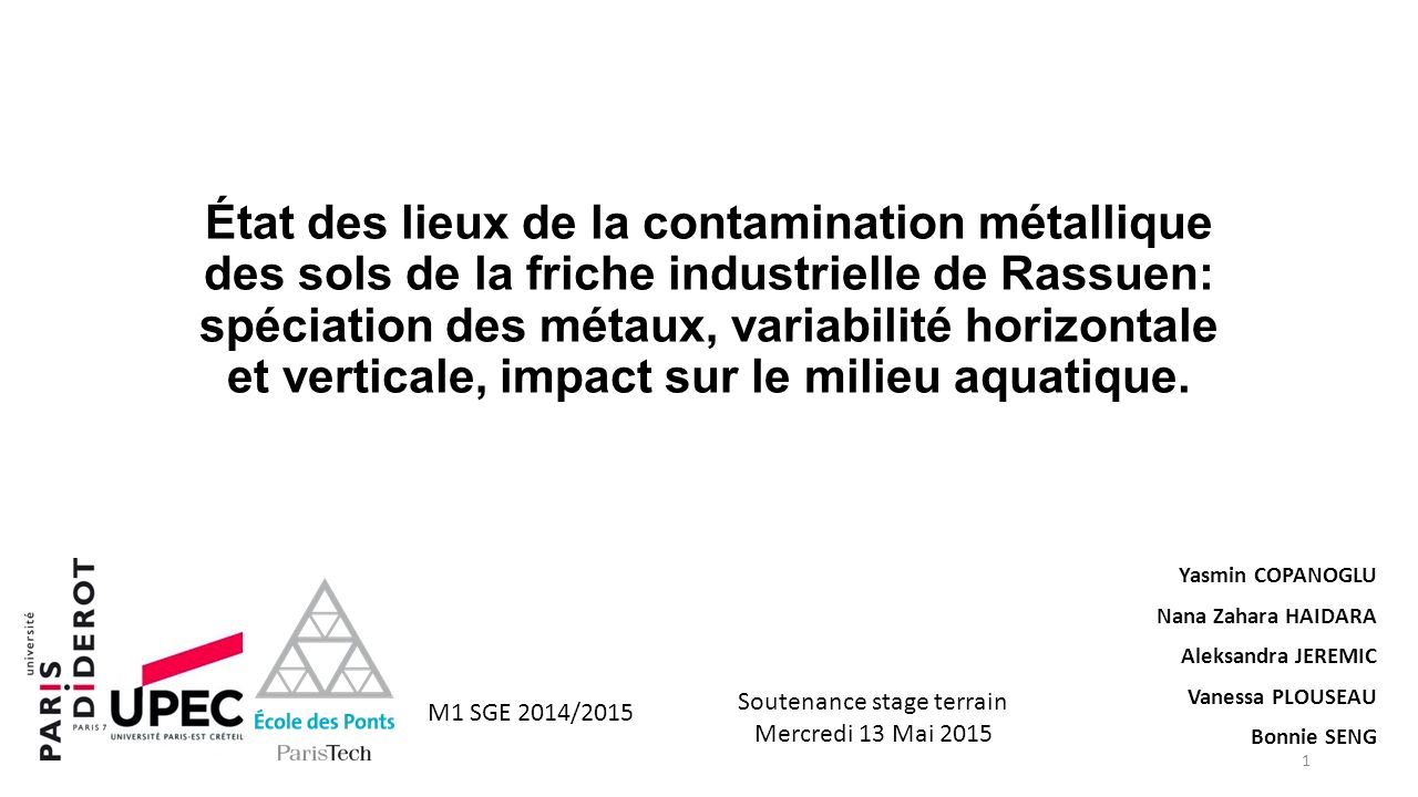 État des lieux de la contamination métallique des sols de la friche industrielle de Rassuen: spéciation des métaux, variabilité horizontale et verticale, impact sur le milieu aquatique.