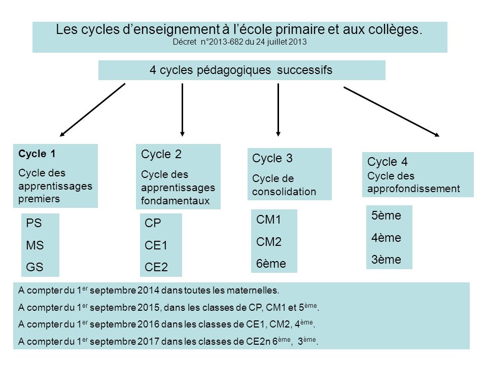 Les cycles d’enseignement à l’école primaire et aux collèges.