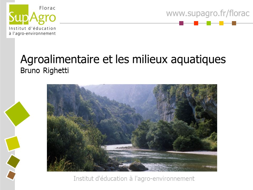 Agroalimentaire et les milieux aquatiques Bruno Righetti Institut d éducation à l agro-environnement