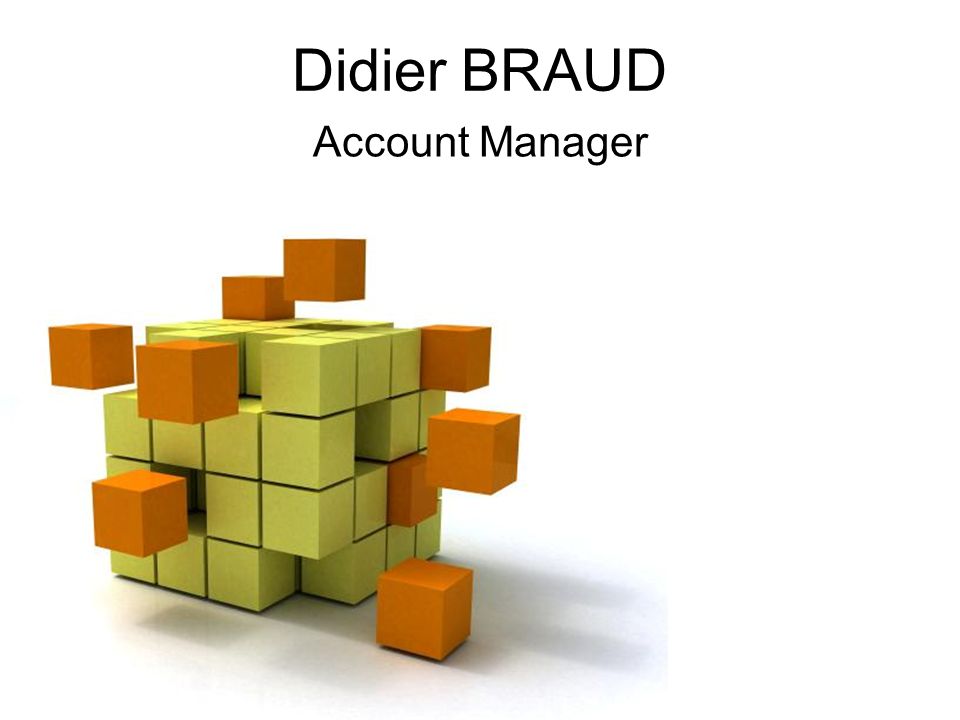 Page 1 Didier BRAUD Account Manager