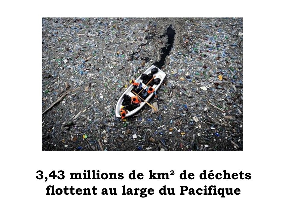 3,43 millions de km² de déchets flottent au large du Pacifique