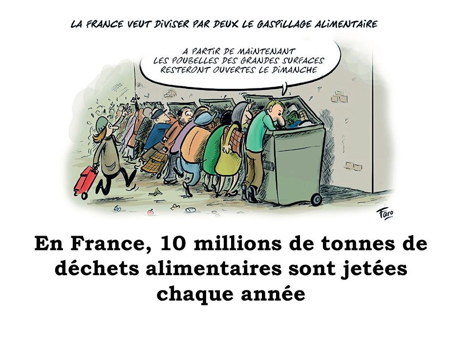 En France, 10 millions de tonnes de déchets alimentaires sont jetées chaque année