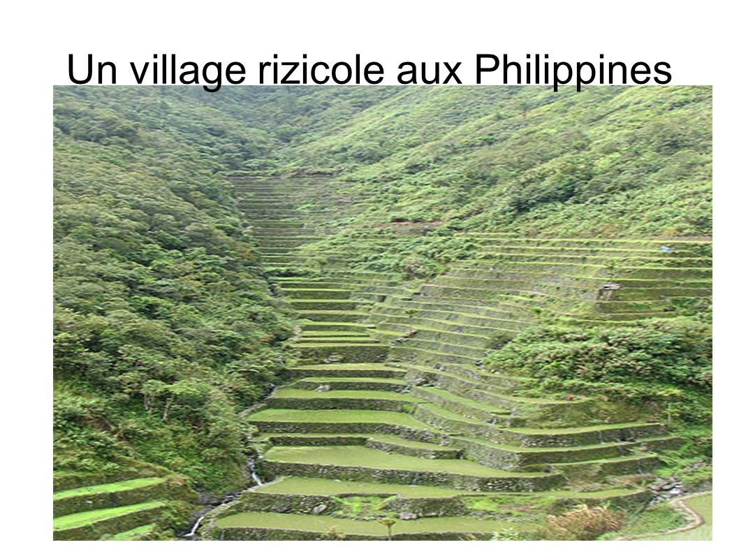 Un village rizicole aux Philippines
