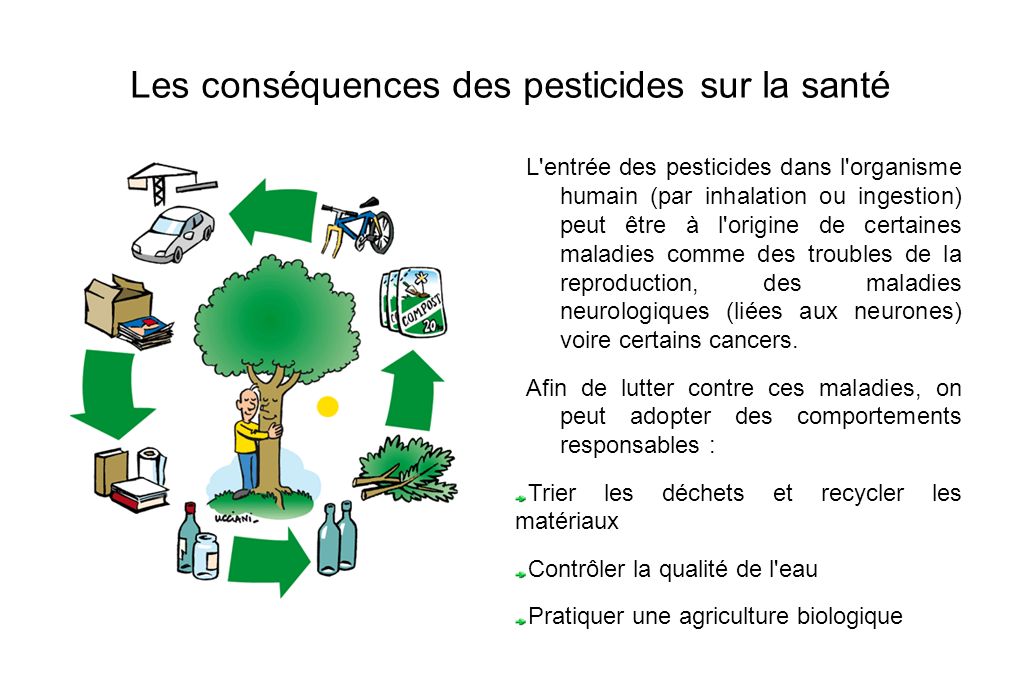 Les conséquences des pesticides sur la santé L entrée des pesticides dans l organisme humain (par inhalation ou ingestion) peut être à l origine de certaines maladies comme des troubles de la reproduction, des maladies neurologiques (liées aux neurones) voire certains cancers.
