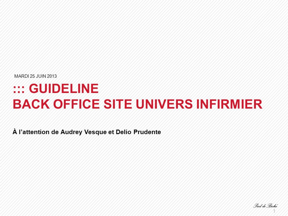 1 ::: GUIDELINE BACK OFFICE SITE UNIVERS INFIRMIER À l’attention de Audrey Vesque et Delio Prudente MARDI 25 JUIN 2013