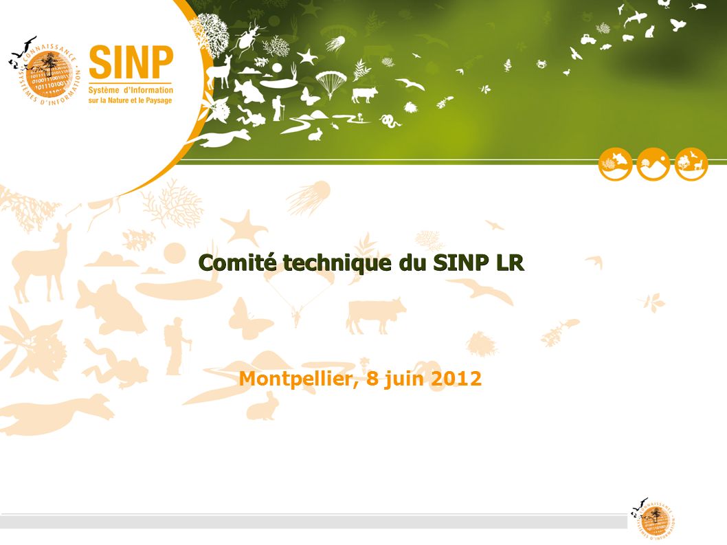 1 Comité de suivi régional du SINP LR - 8 juin 2012 Comité technique du SINP LR Montpellier, 8 juin 2012