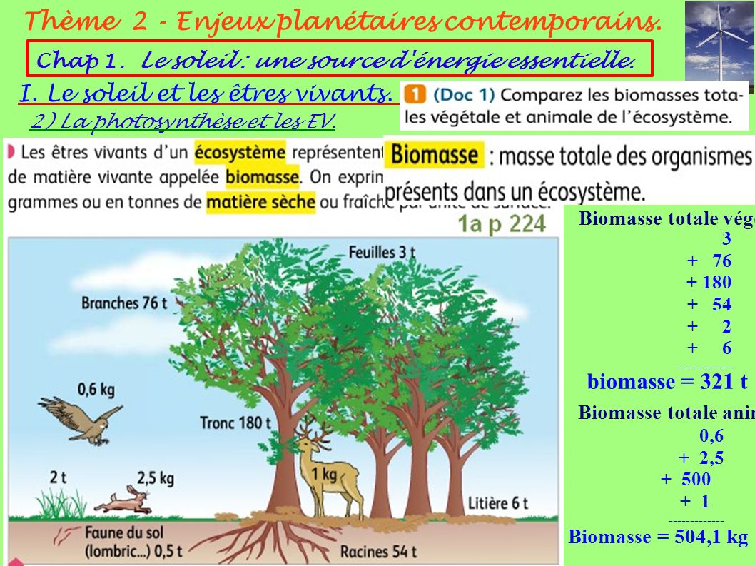 2) La photosynthèse et les EV. Thème 2 - Enjeux planétaires contemporains.