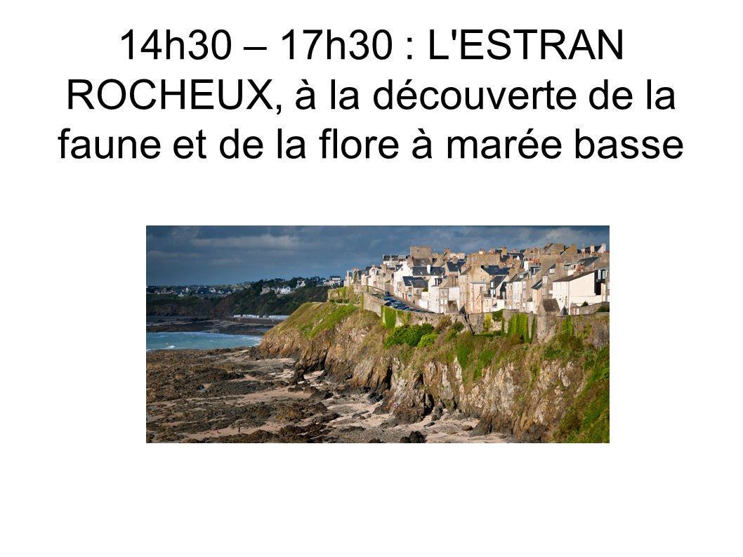14h30 – 17h30 : L ESTRAN ROCHEUX, à la découverte de la faune et de la flore à marée basse