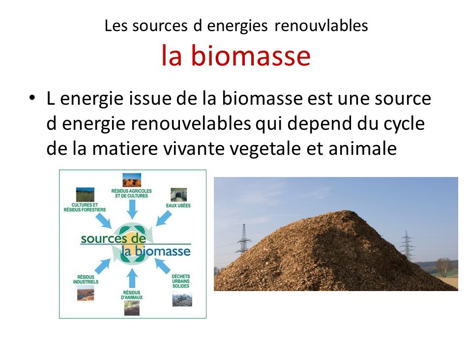 Les sources d energies renouvlables la biomasse L energie issue de la biomasse est une source d energie renouvelables qui depend du cycle de la matiere vivante vegetale et animale