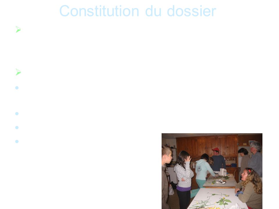 Constitution du dossier  Le dossier est téléchargeable sur le site de l’IA, rubrique « Vie scolaire / enseignements adaptés ».