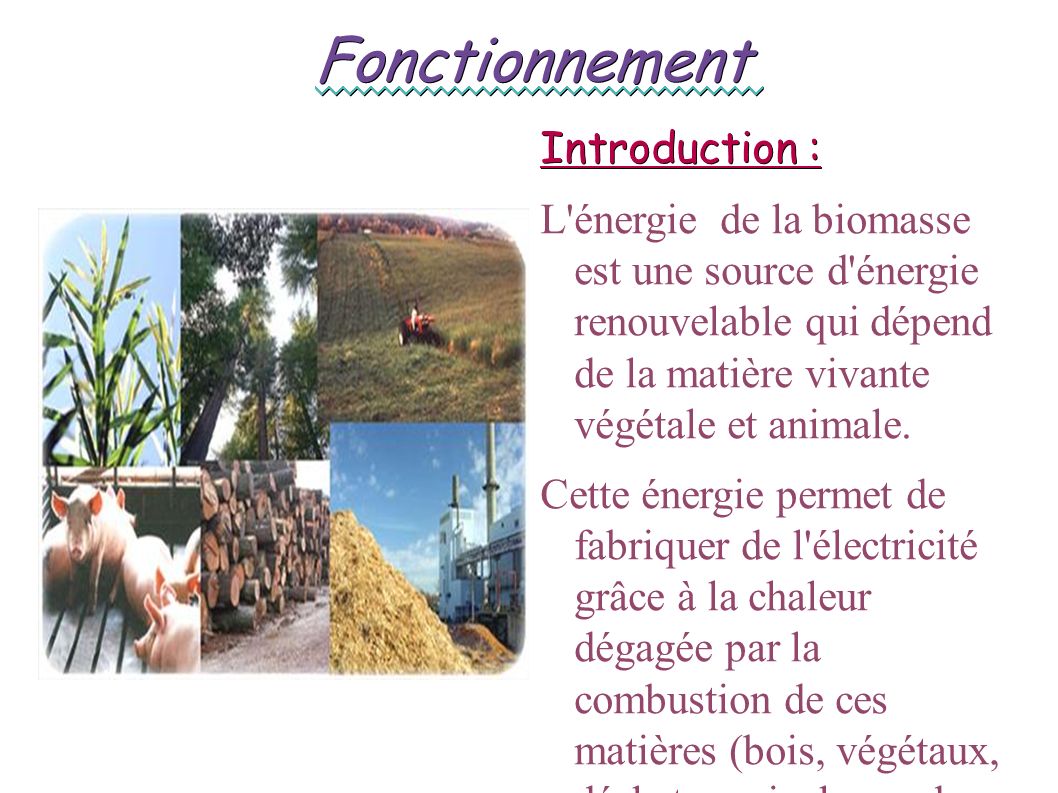 Fonctionnement Introduction : L énergie de la biomasse est une source d énergie renouvelable qui dépend de la matière vivante végétale et animale.