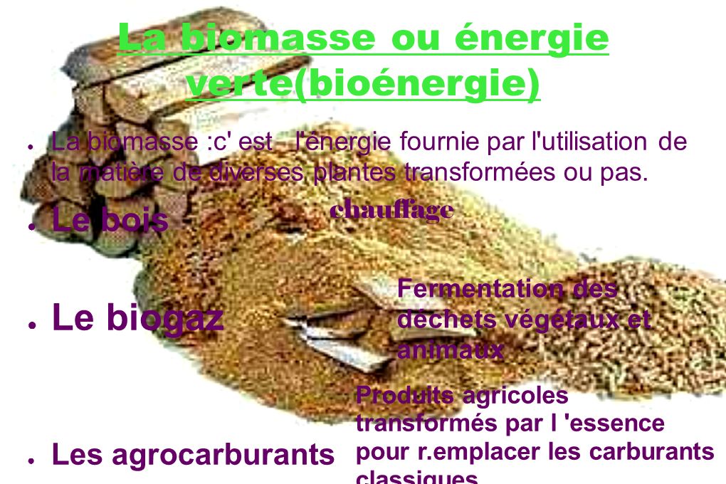 La biomasse ou énergie verte(bioénergie) ● La biomasse :c est l énergie fournie par l utilisation de la matière de diverses plantes transformées ou pas.