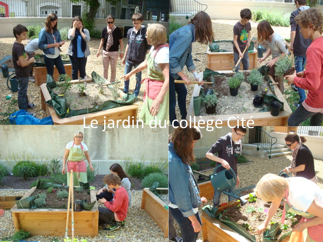 Le jardin du collège Cité