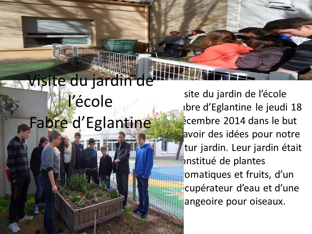 Visite du jardin de l’école Fabre d’Eglantine le jeudi 18 décembre 2014 dans le but d’avoir des idées pour notre futur jardin.