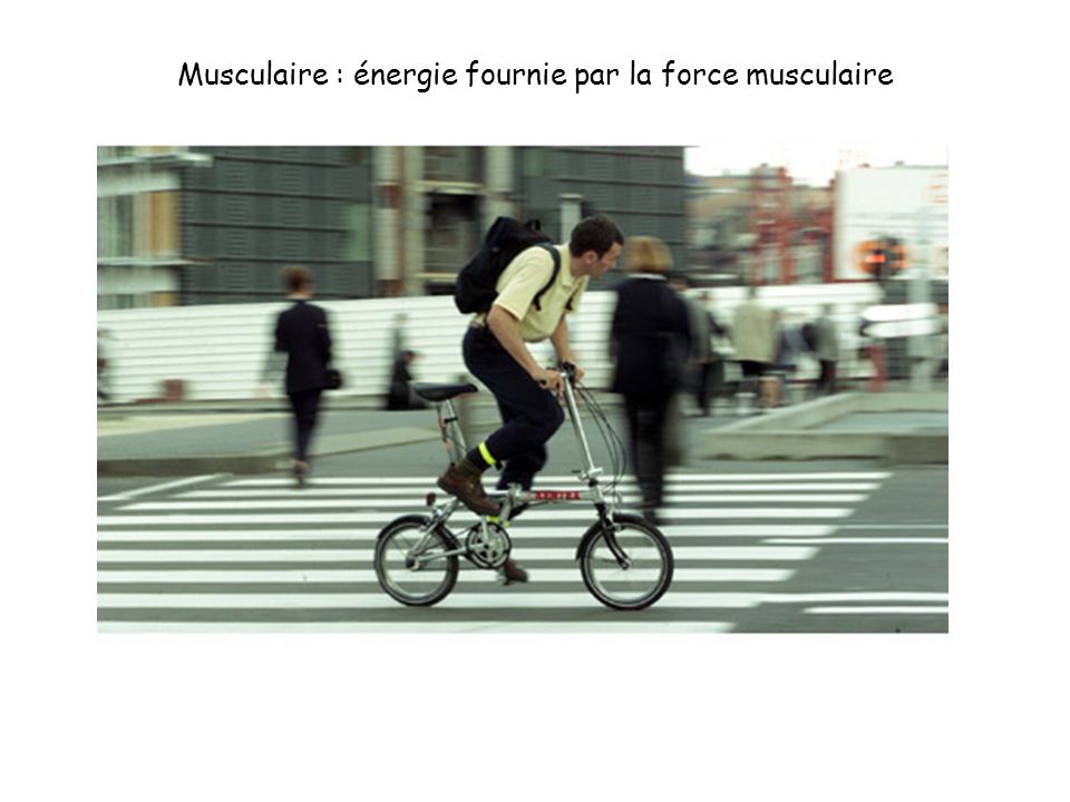 Musculaire : énergie fournie par la force musculaire