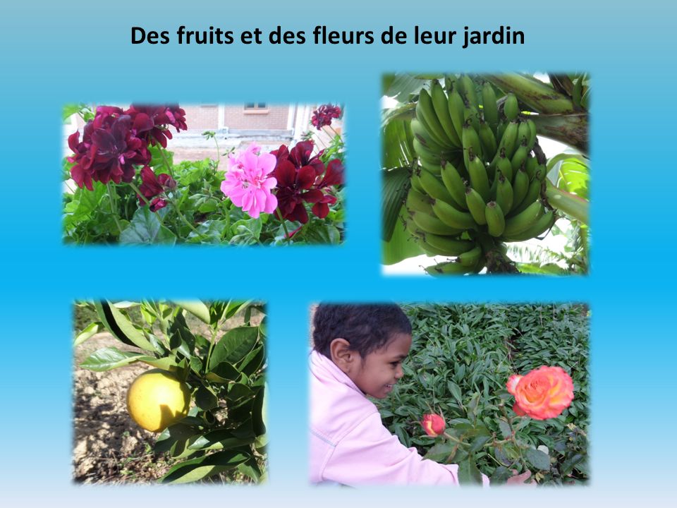 Des fruits et des fleurs de leur jardin