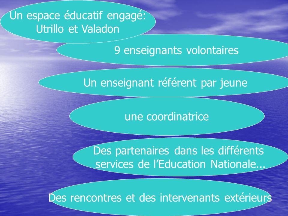 9 enseignants volontaires une coordinatrice Des partenaires dans les différents services de l’Education Nationale...