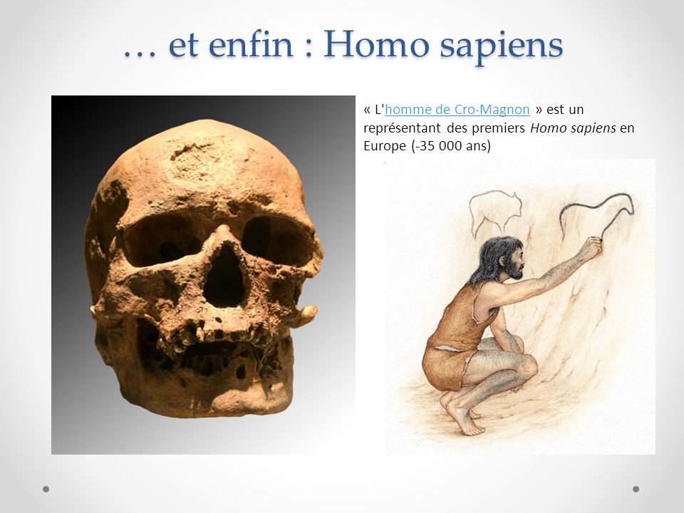 … et enfin : Homo sapiens « L homme de Cro-Magnon » est un représentant des premiers Homo sapiens en Europe ( ans)homme de Cro-Magnon
