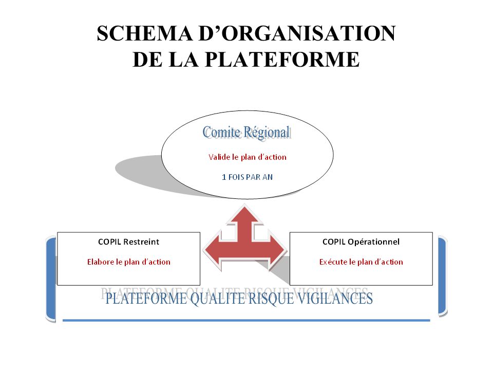 SCHEMA D’ORGANISATION DE LA PLATEFORME
