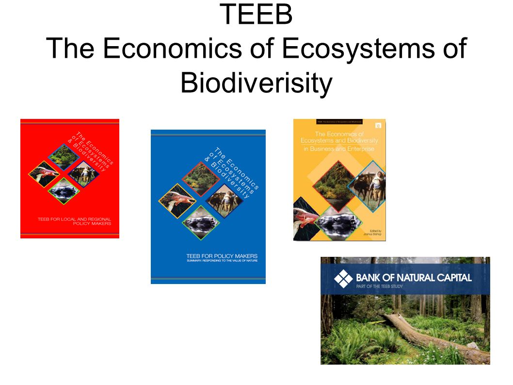 TEEB The Economics of Ecosystems of Biodiverisity
