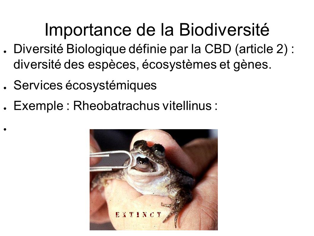 Importance de la Biodiversité ● Diversité Biologique définie par la CBD (article 2) : diversité des espèces, écosystèmes et gènes.