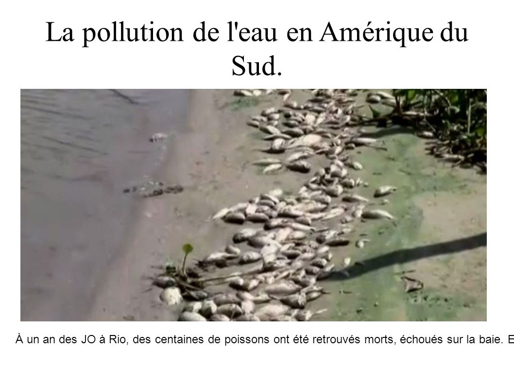 La pollution de l eau en Amérique du Sud.