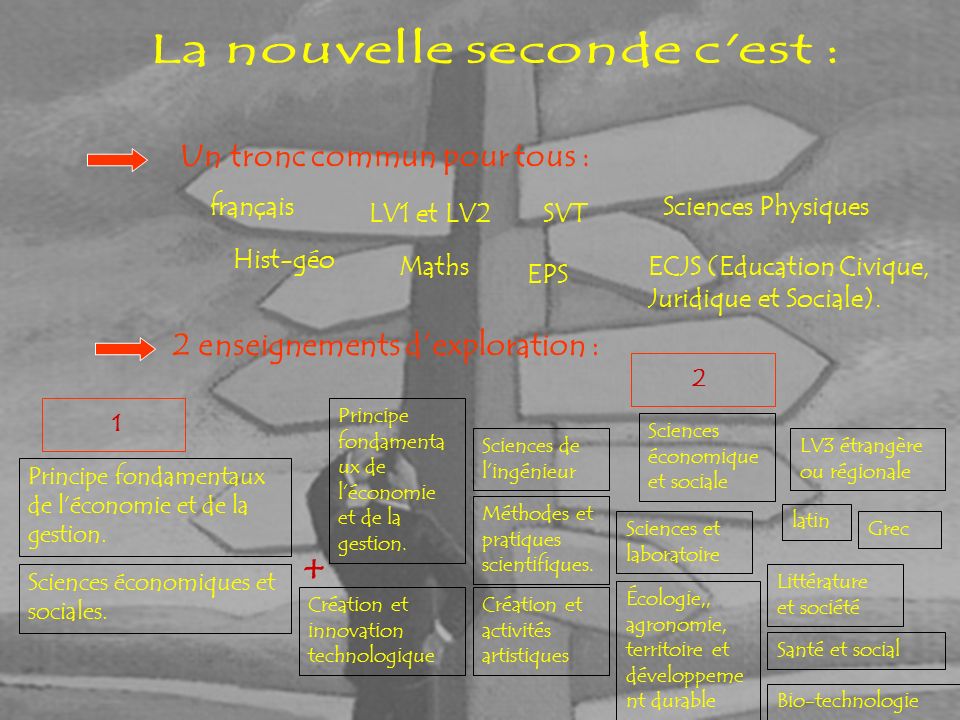 Un tronc commun pour tous : 2 enseignements d’exploration : français Hist-géo LV1 et LV2 Maths EPS SVT ECJS (Education Civique, Juridique et Sociale).