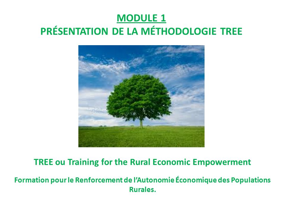MODULE 1 PRÉSENTATION DE LA MÉTHODOLOGIE TREE TREE ou Training for the Rural Economic Empowerment Formation pour le Renforcement de l’Autonomie Économique des Populations Rurales.