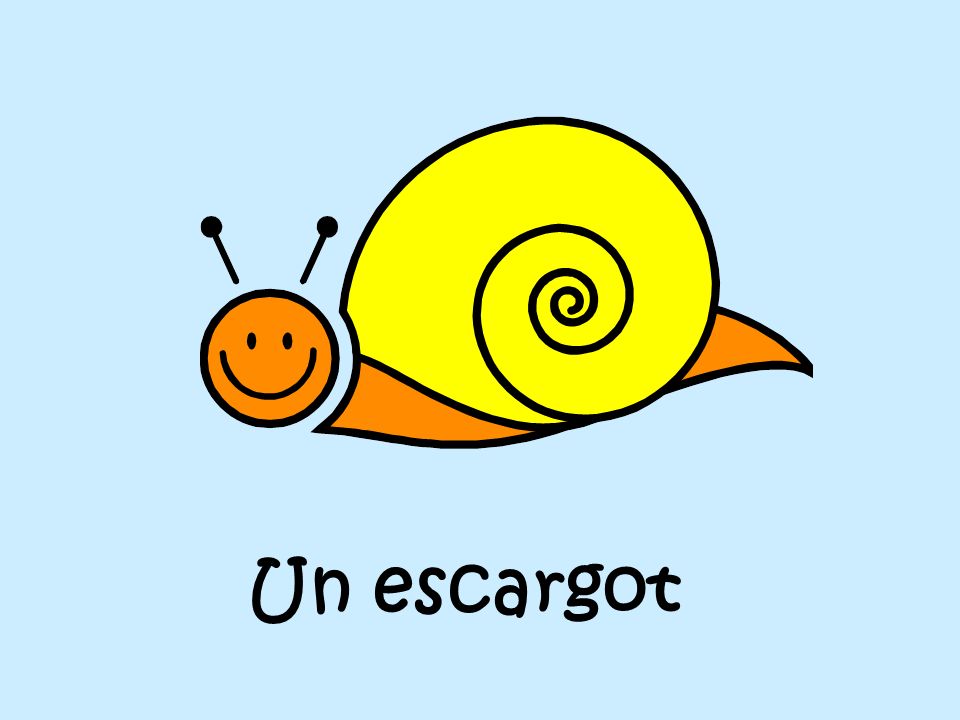 Un escargot