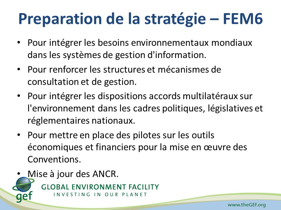 Preparation de la stratégie – FEM6 Pour intégrer les besoins environnementaux mondiaux dans les systèmes de gestion d information.
