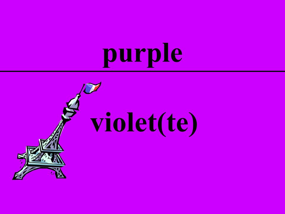 purple violet(te)