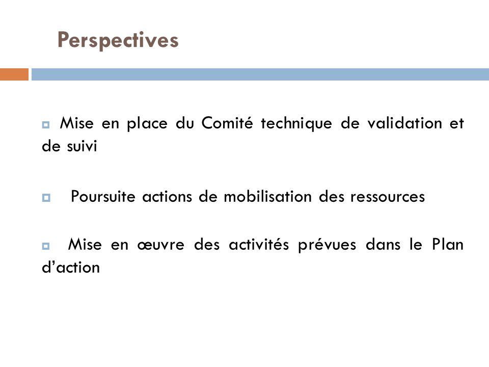 Perspectives  Mise en place du Comité technique de validation et de suivi  Poursuite actions de mobilisation des ressources  Mise en œuvre des activités prévues dans le Plan d’action