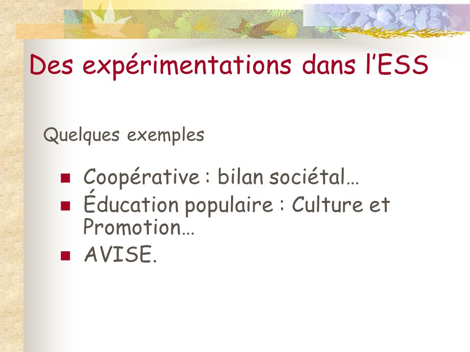 Des expérimentations dans l’ESS Coopérative : bilan sociétal… Éducation populaire : Culture et Promotion… AVISE.