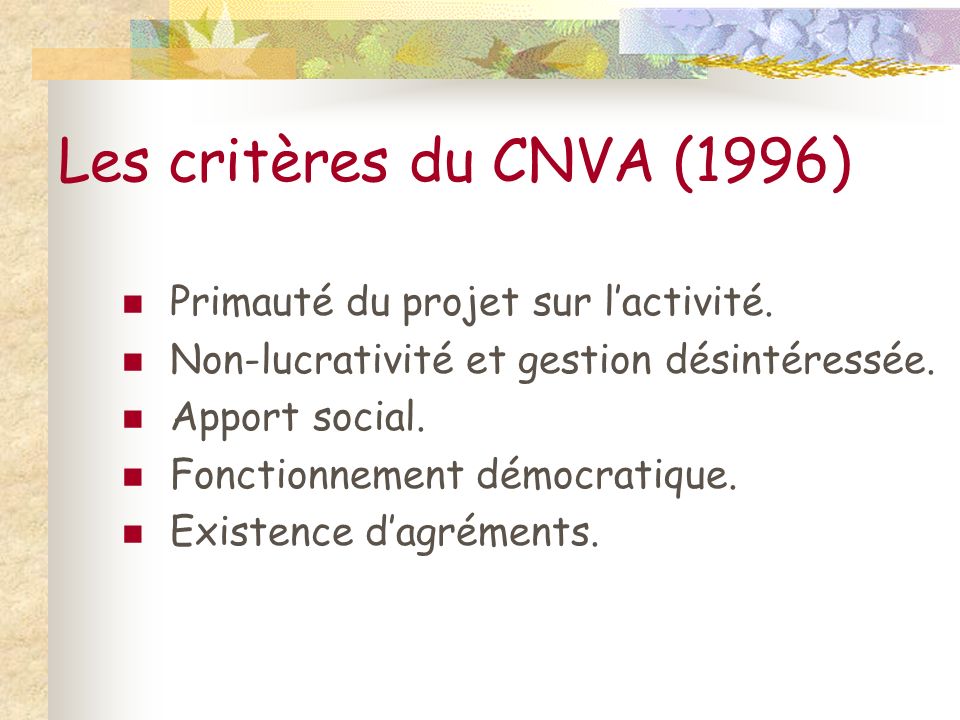 Les critères du CNVA (1996) Primauté du projet sur l’activité.