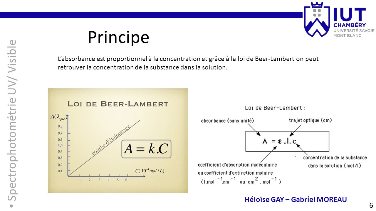 6 Principe Spectrophotométrie UV/ Visible Héloïse GAY – Gabriel MOREAU L’absorbance est proportionnel à la concentration et grâce à la loi de Beer-Lambert on peut retrouver la concentration de la substance dans la solution.