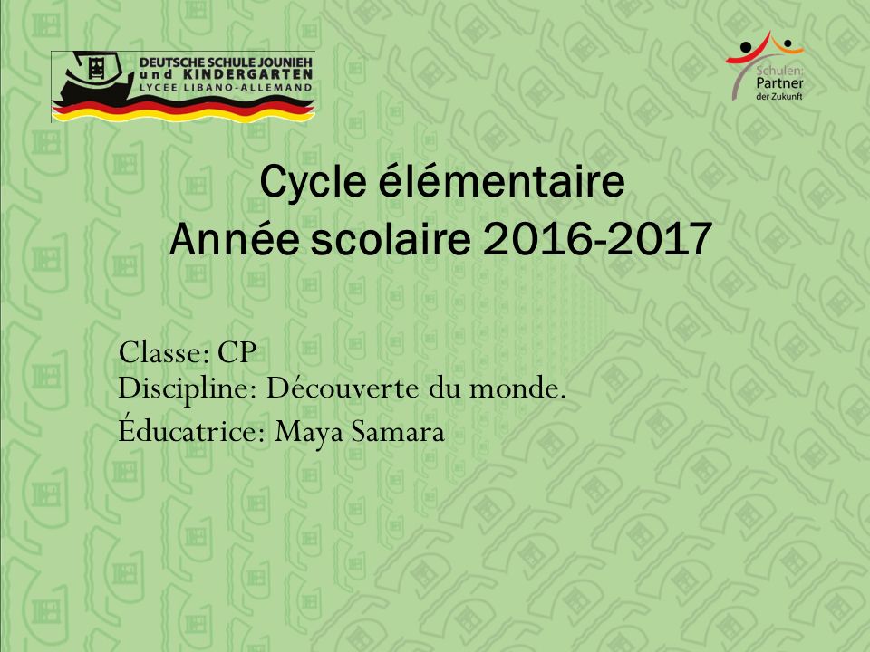 Cycle élémentaire Année scolaire Classe: CP Discipline: Découverte du monde.