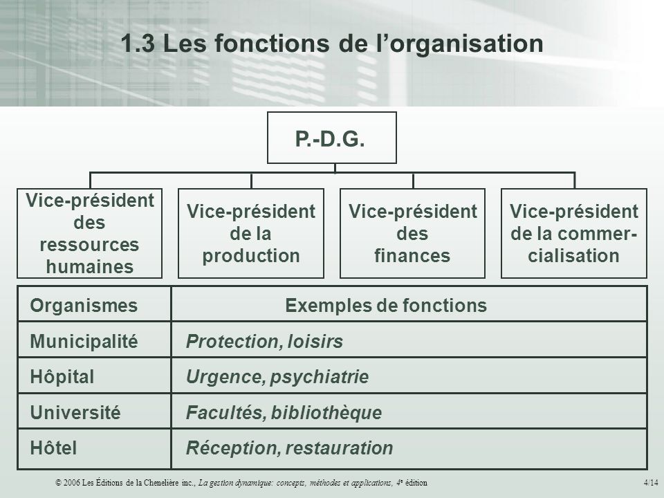 © 2006 Les Éditions de la Chenelière inc., La gestion dynamique: concepts, méthodes et applications, 4 e édition4/14 Vice-président des ressources humaines P.-D.G.