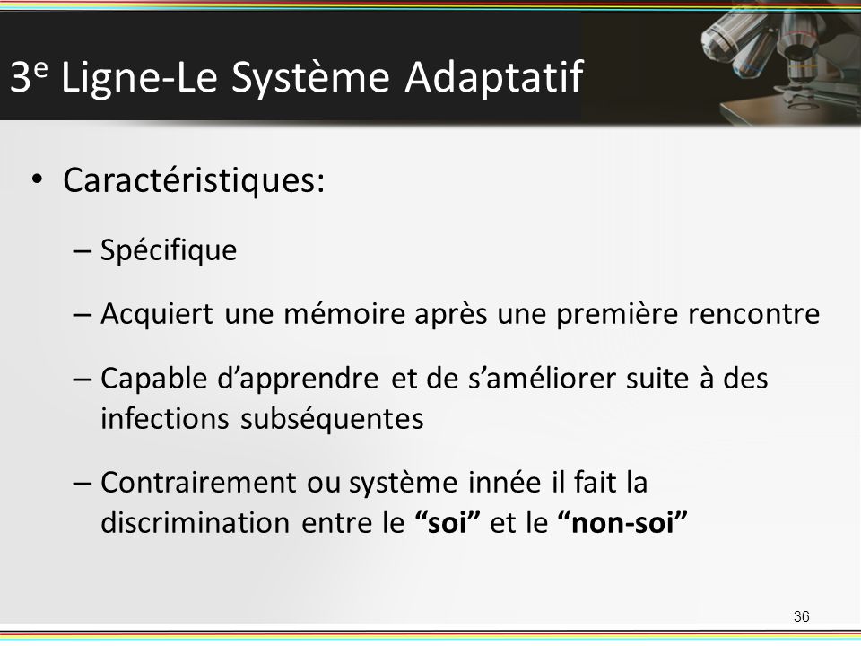 rencontre antigene lymphocyte b