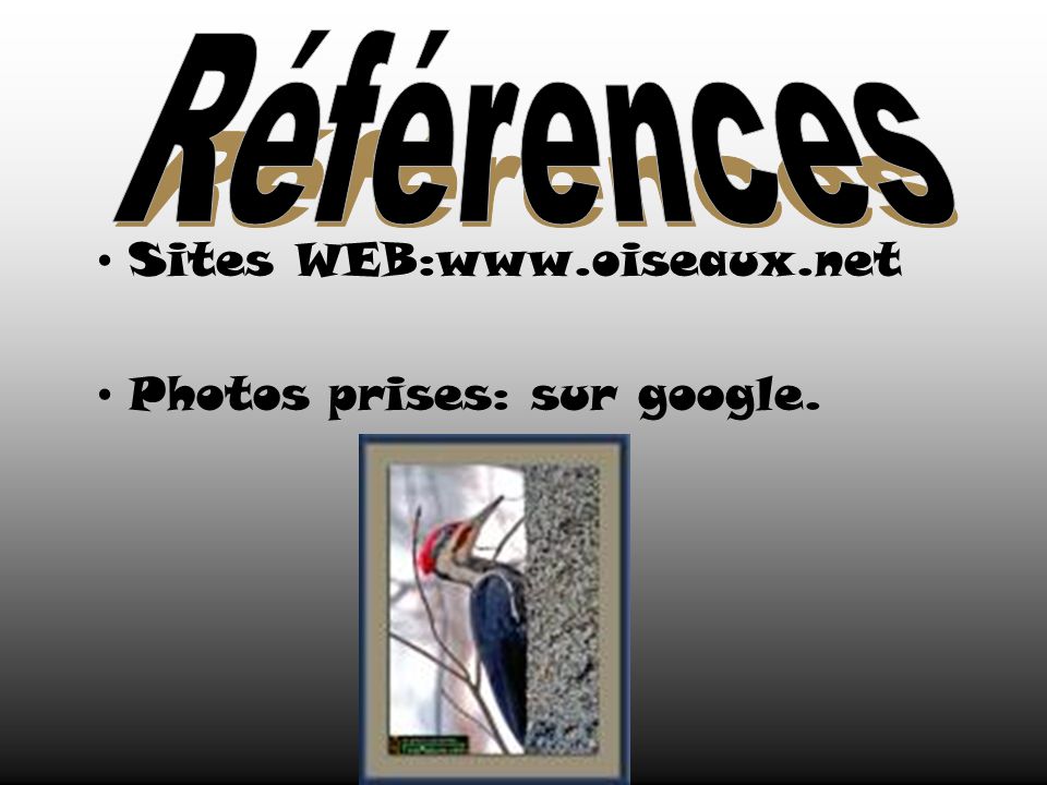 Sites WEB:  Photos prises: sur google.