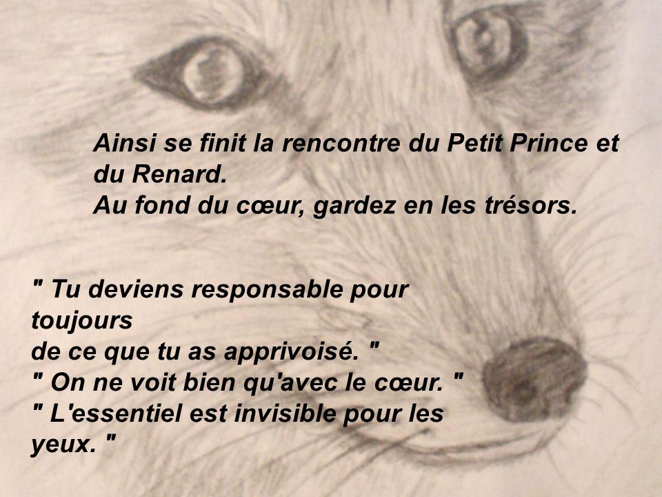 JE TE VEUX BEAUCOUP je te veux beaucoup: