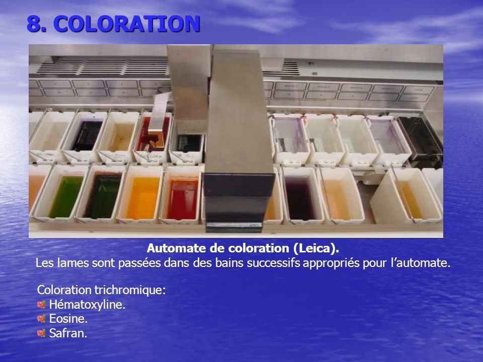 8. COLORATION Automate de coloration (Leica).