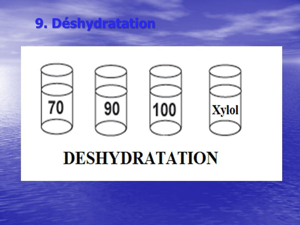 9. Déshydratation