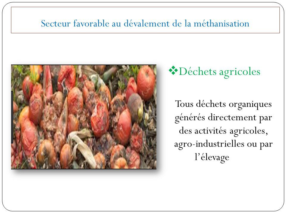 Secteur favorable au dévalement de la méthanisation  Déchets agricoles Tous déchets organiques générés directement par des activités agricoles, agro-industrielles ou par l’élevage