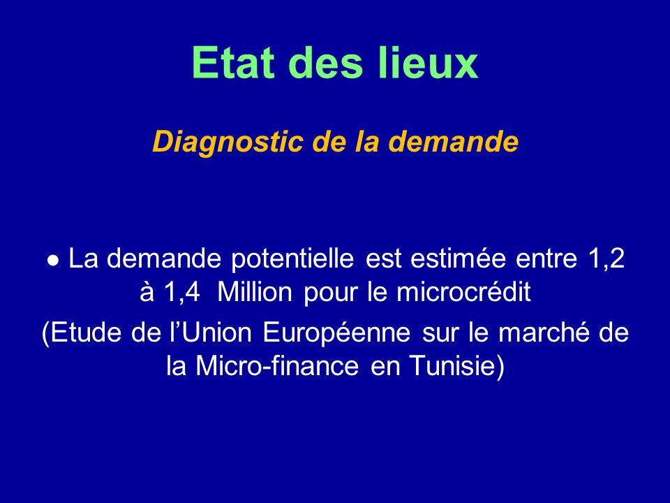 Etat des lieux Diagnostic de la demande La demande potentielle est estimée entre 1,2 à 1,4 Million pour le microcrédit (Etude de lUnion Européenne sur le marché de la Micro-finance en Tunisie)