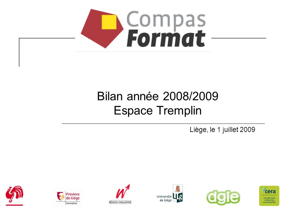 Bilan année 2008/2009 Espace Tremplin Liège, le 1 juillet 2009