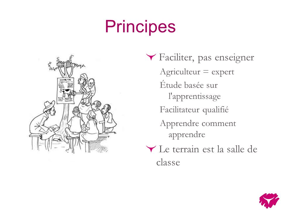 Principes Faciliter, pas enseigner Agriculteur = expert Étude basée sur l apprentissage Facilitateur qualifié Apprendre comment apprendre Le terrain est la salle de classe
