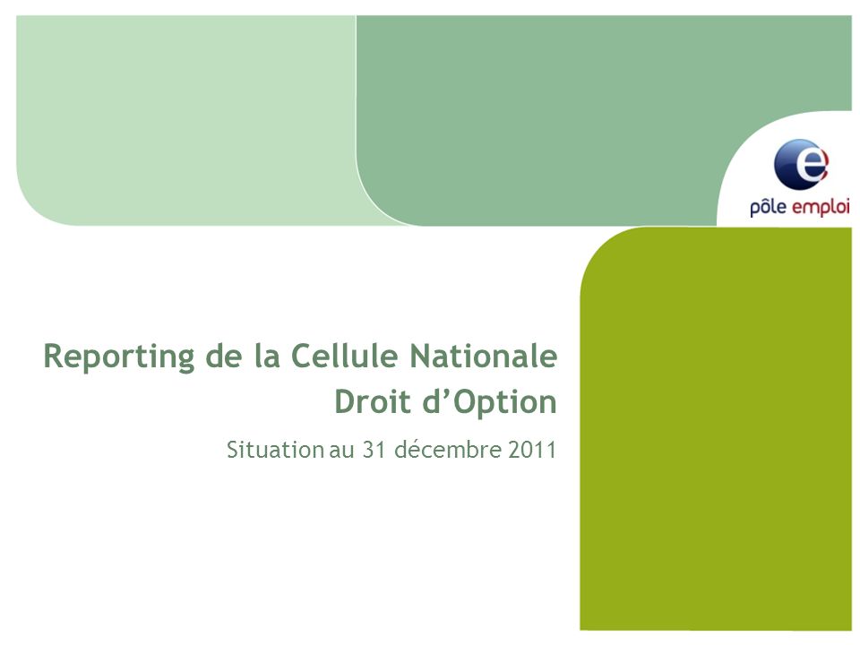 Reporting de la Cellule Nationale Droit dOption Situation au 31 décembre 2011